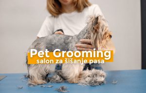 pet-grooming-salon-sisanje-pasa-beograd-novi-sad-sajt